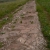 Древняя дорога из каменных плит