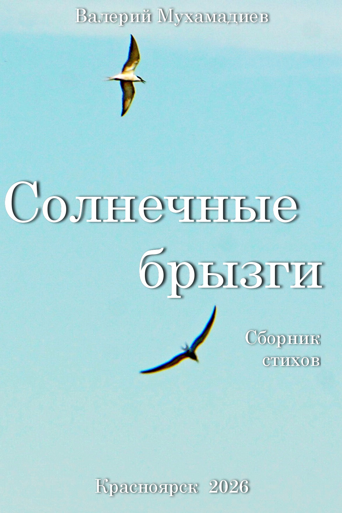Солнечные брызги