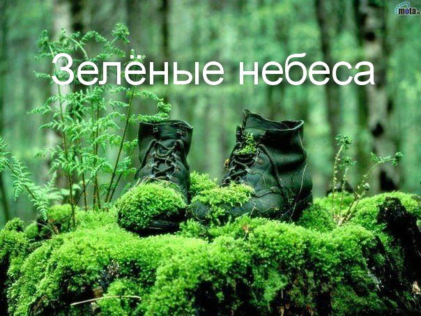 Зелёные небеса.