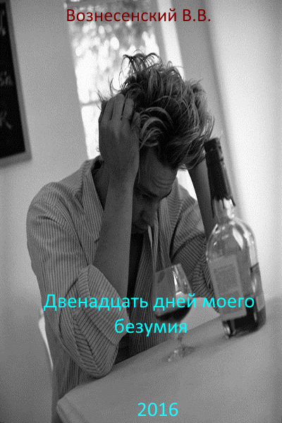Двенадцать дней моего безумия