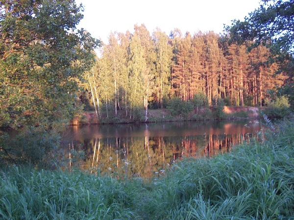 Открываю дней страницы