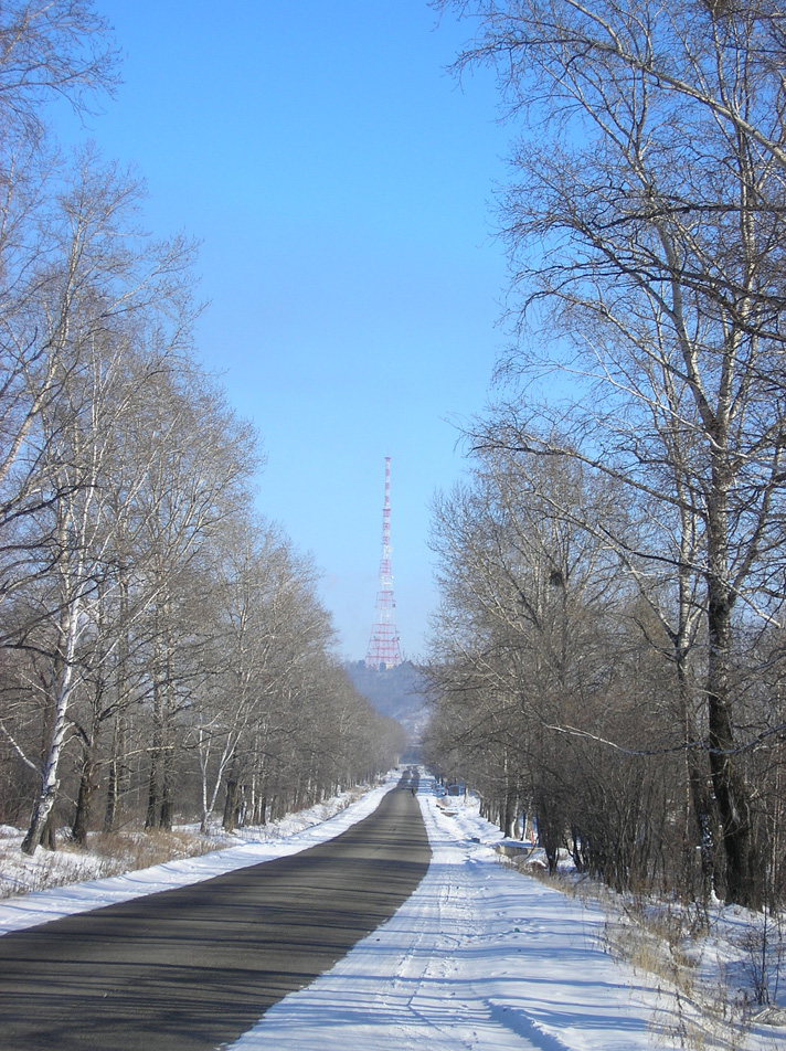 Служба Отечеству